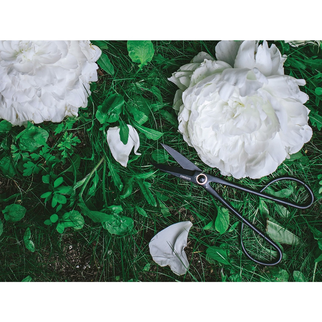 BareBones Living Artisan Trimming Shears, 2" Black Stainless Blades, , Black Stainless Handles 2 BareBones Living Artisan Trimming Shears, 2" Black Stainless Blades, , Black Stainless Handles - Image 2