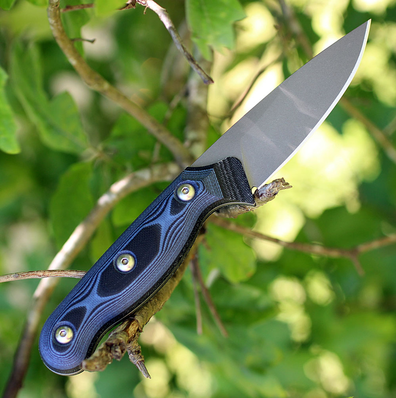 TOPS Knives Dicer 3 Paring Knife DCR3-01, 3.50" CPM S35VN Plain Blade, Black Canvas Micarta/Blue-Black G10 Handle 2 TOPS Knives Dicer 3 Paring Knife DCR3-01, 3.50" CPM S35VN Plain Blade, Black Canvas Micarta/Blue-Black G10 Handle - Image 2